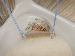 A close-up of a cheese starter culture being prepared in a white container, with blue tubes introducing bacteria to initiate fermentation for cheese making.