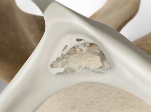 A close-up of a white ceramic starter bowl filled with flour, featuring a wooden spoon, ideal for baking and cooking preparation, emphasizing kitchen essentials.